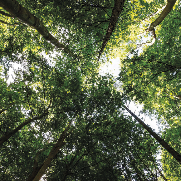 Unternehmen Nachhaltigkeit Teaser 580x850