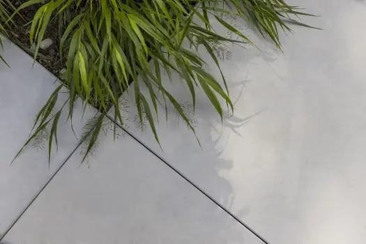 Conceo Fino CD 3209.