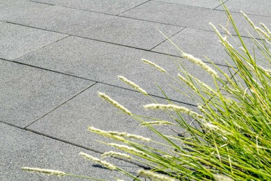 Corio PLatte Terrasse Anthrazit 2699 31