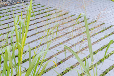 Greenline Vario Cubus Rasenfugenstein Grau 2738 005