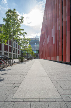 La Linia Uniklinik Koeln 2550 063