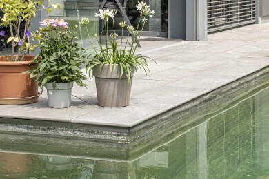Lithocera Terrasse Muschelkalk 2684 33