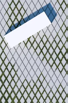 RHEINKIESEL Ruhe in Bewegung.