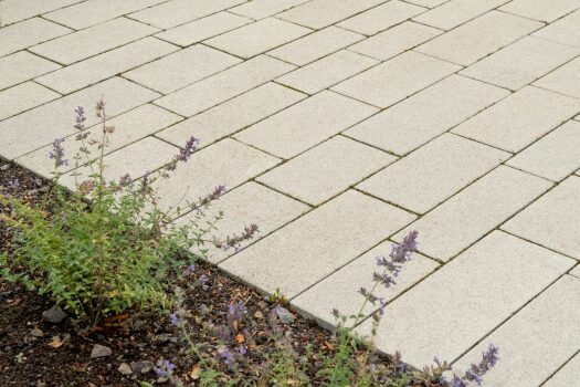 Essen, Schmetterlingsgarten, Corio EcoTerra Beige.