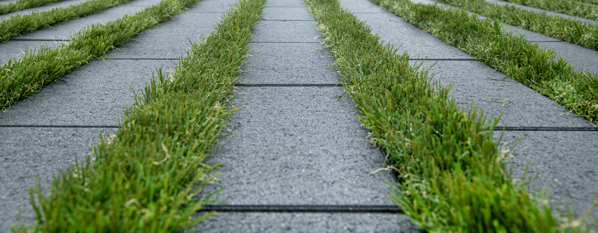 Greenline-Rasenfugenstein, Umbriano Grauanthrazit.